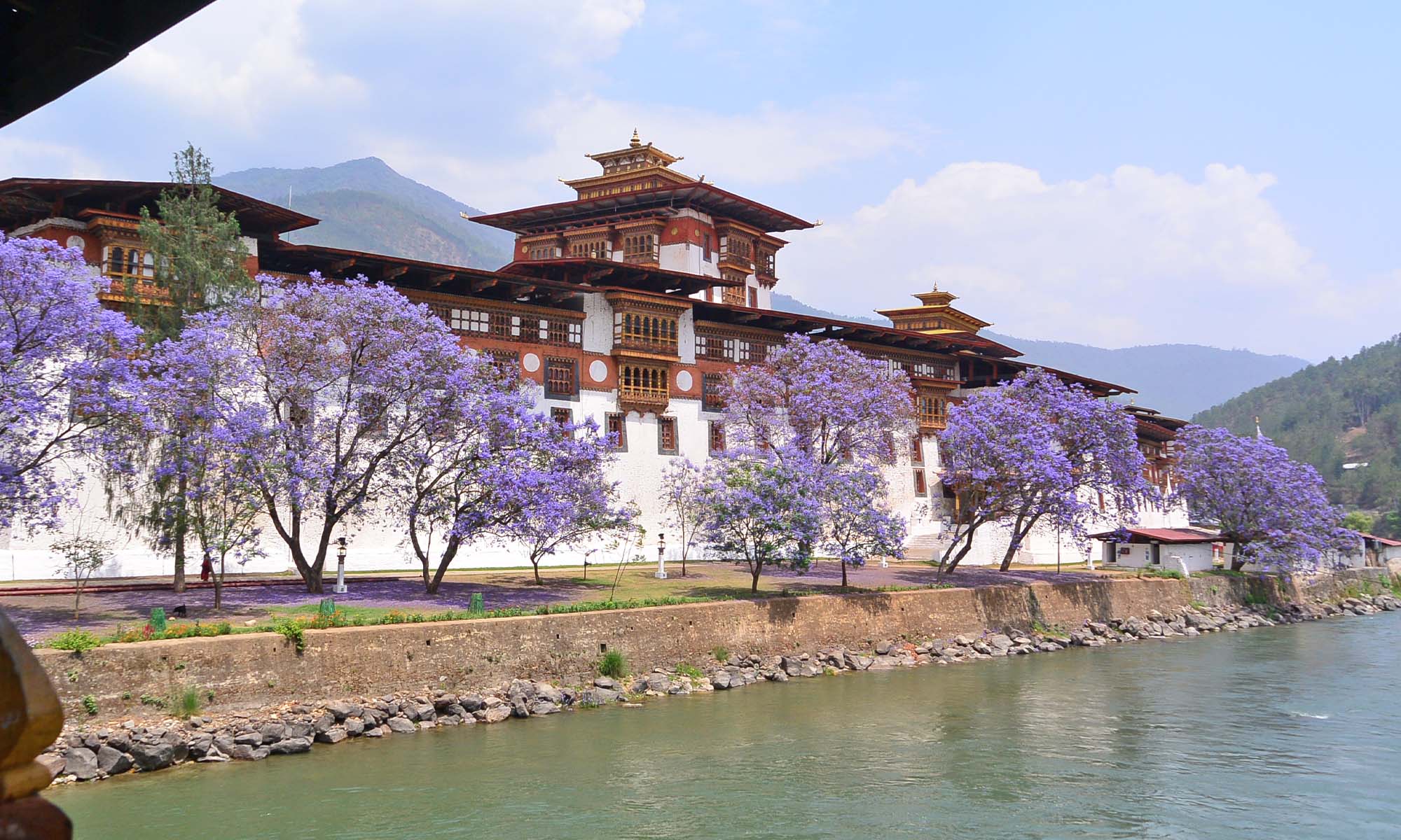 Bhutan Tour Package from Kolkata - Punakha Dzong